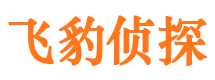 瑞安市侦探调查公司